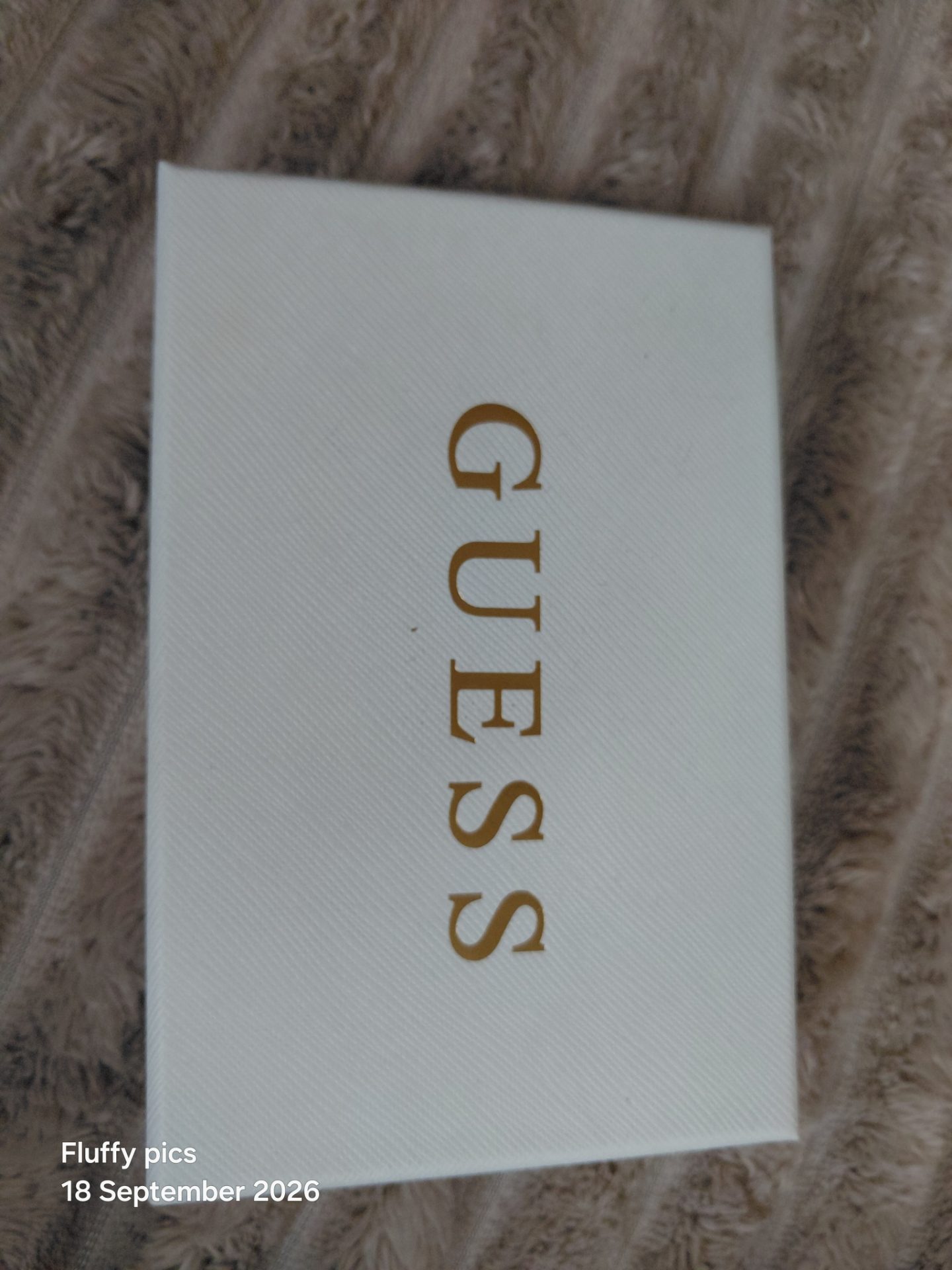 Guess charm keyring