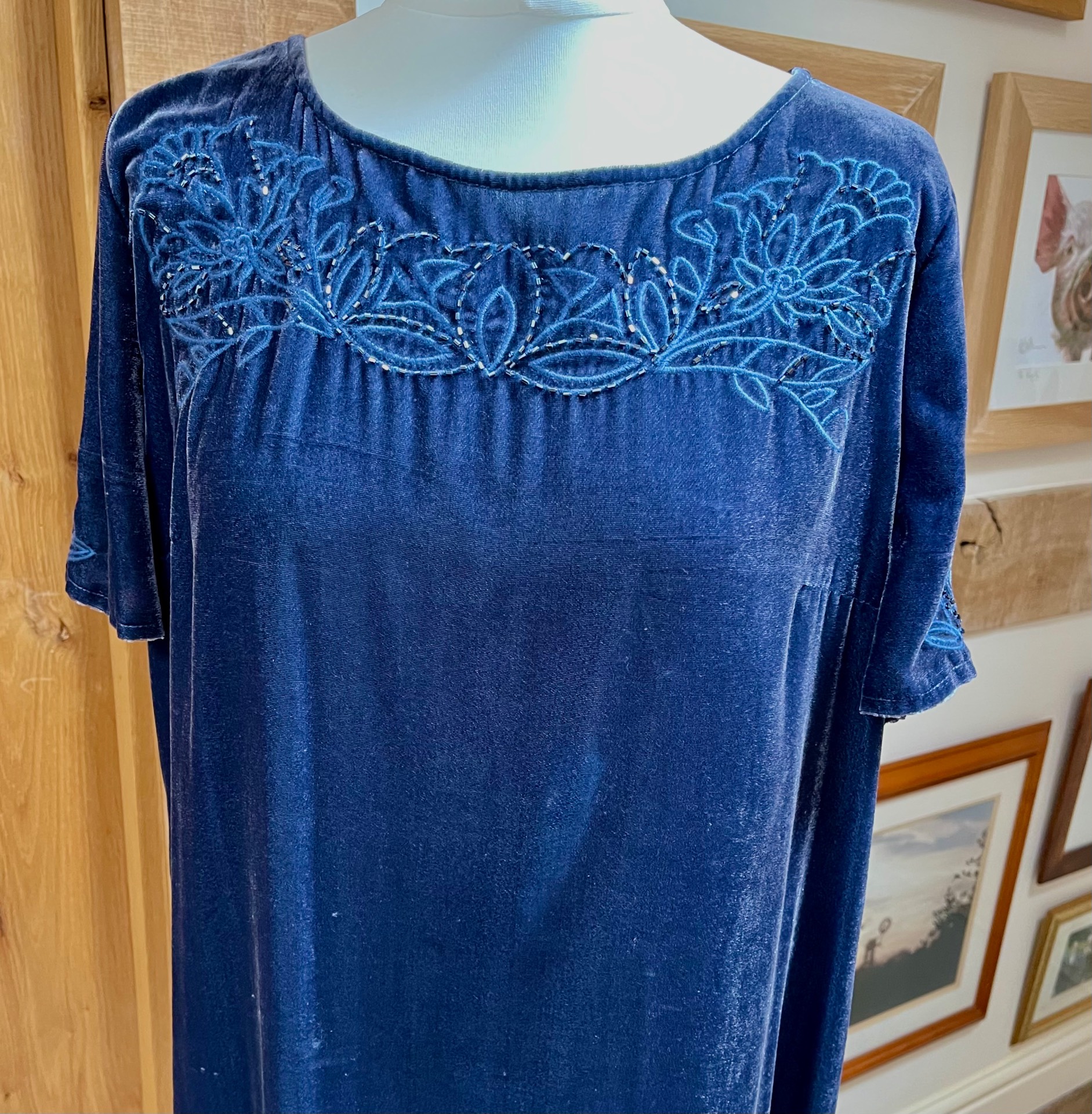 Blue Velvet Dress